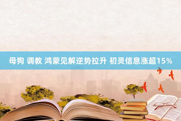 母狗 调教 鸿蒙见解逆势拉升 初灵信息涨超15%