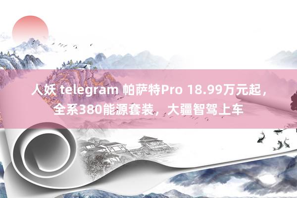 人妖 telegram 帕萨特Pro 18.99万元起，全系380能源套装，大疆智驾上车