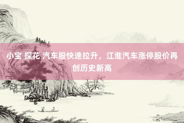 小宝 探花 汽车股快速拉升，江淮汽车涨停股价再创历史新高