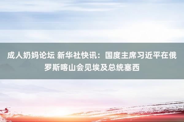 成人奶妈论坛 新华社快讯：国度主席习近平在俄罗斯喀山会见埃及总统塞西