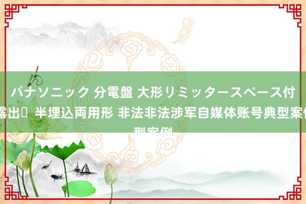 パナソニック 分電盤 大形リミッタースペース付 露出・半埋込両用形 非法非法涉军自媒体账号典型案例