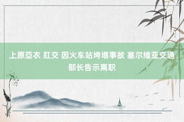 上原亞衣 肛交 因火车站垮塌事故 塞尔维亚交通部长告示离职