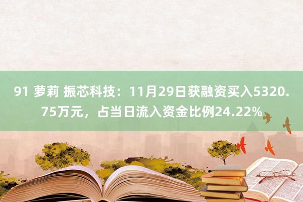 91 萝莉 振芯科技：11月29日获融资买入5320.75万元，占当日流入资金比例24.22%