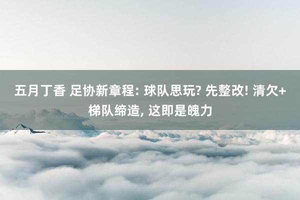 五月丁香 足协新章程: 球队思玩? 先整改! 清欠+梯队缔造， 这即是魄力