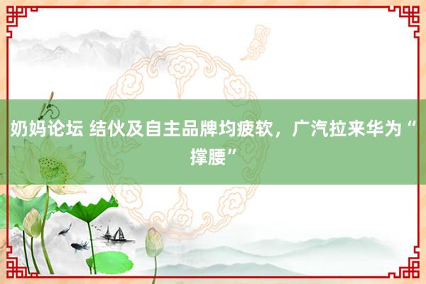 奶妈论坛 结伙及自主品牌均疲软，广汽拉来华为“撑腰”