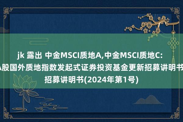 jk 露出 中金MSCI质地A,中金MSCI质地C: 中金MSCI中国A股国外质地指数发起式证券投资基金更新招募讲明书(2024年第1号)