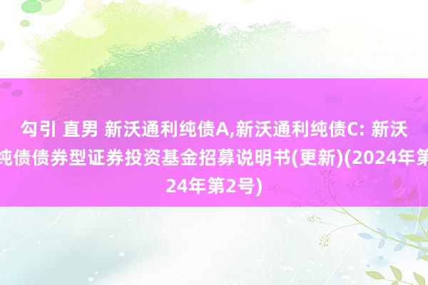 勾引 直男 新沃通利纯债A,新沃通利纯债C: 新沃通利纯债债券型证券投资基金招募说明书(更新)(2024年第2号)