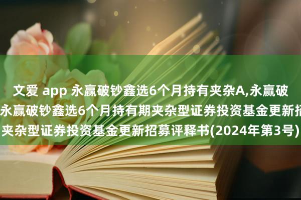 文爱 app 永赢破钞鑫选6个月持有夹杂A,永赢破钞鑫选6个月持有夹杂C: 永赢破钞鑫选6个月持有期夹杂型证券投资基金更新招募评释书(2024年第3号)