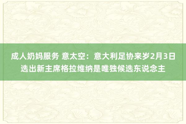 成人奶妈服务 意太空：意大利足协来岁2月3日选出新主席格拉维纳是唯独候选东说念主