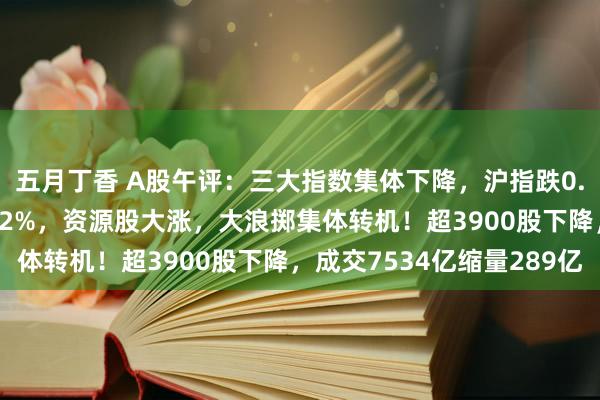 五月丁香 A股午评：三大指数集体下降，沪指跌0.46%北证50逆势涨超2%，资源股大涨，大浪掷集体转机！超3900股下降，成交7534亿缩量289亿