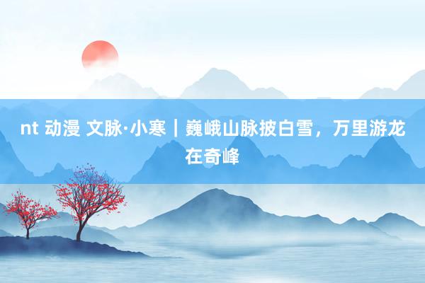nt 动漫 文脉·小寒｜巍峨山脉披白雪，万里游龙在奇峰