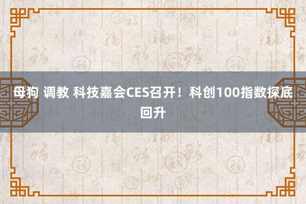 母狗 调教 科技嘉会CES召开！科创100指数探底回升