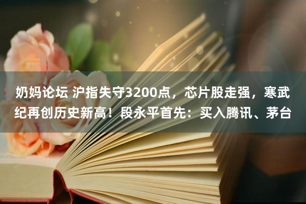 奶妈论坛 沪指失守3200点，芯片股走强，寒武纪再创历史新高！段永平首先：买入腾讯、茅台