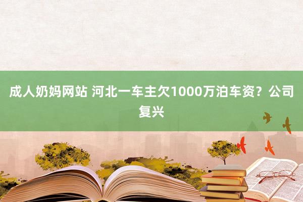 成人奶妈网站 河北一车主欠1000万泊车资？公司复兴