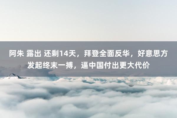 阿朱 露出 还剩14天，拜登全面反华，好意思方发起终末一搏，逼中国付出更大代价
