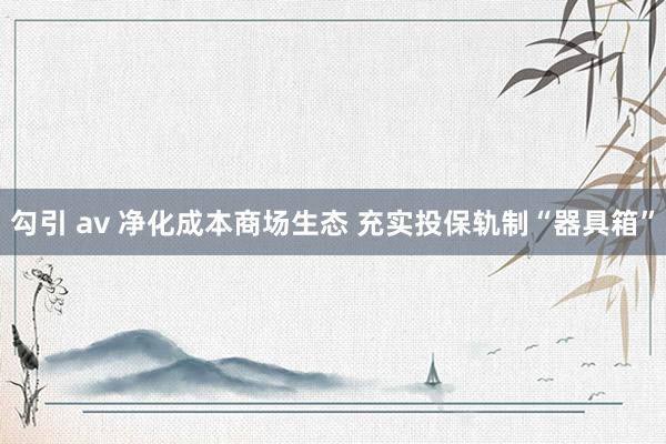 勾引 av 净化成本商场生态 充实投保轨制“器具箱”