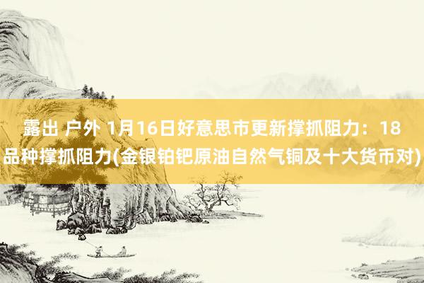 露出 户外 1月16日好意思市更新撑抓阻力：18品种撑抓阻力(金银铂钯原油自然气铜及十大货币对)