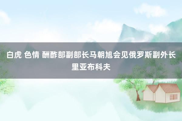 白虎 色情 酬酢部副部长马朝旭会见俄罗斯副外长里亚布科夫