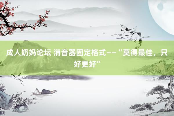 成人奶妈论坛 消音器固定格式——“莫得最佳，只好更好”