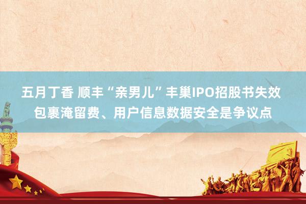 五月丁香 顺丰“亲男儿”丰巢IPO招股书失效 包裹淹留费、用户信息数据安全是争议点