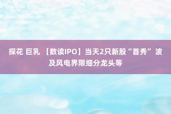 探花 巨乳 【数读IPO】当天2只新股“首秀” 波及风电界限细分龙头等
