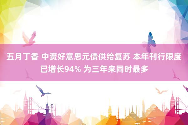 五月丁香 中资好意思元债供给复苏 本年刊行限度已增长94% 为三年来同时最多