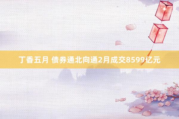丁香五月 债券通北向通2月成交8599亿元