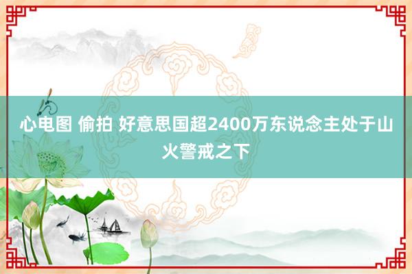 心电图 偷拍 好意思国超2400万东说念主处于山火警戒之下