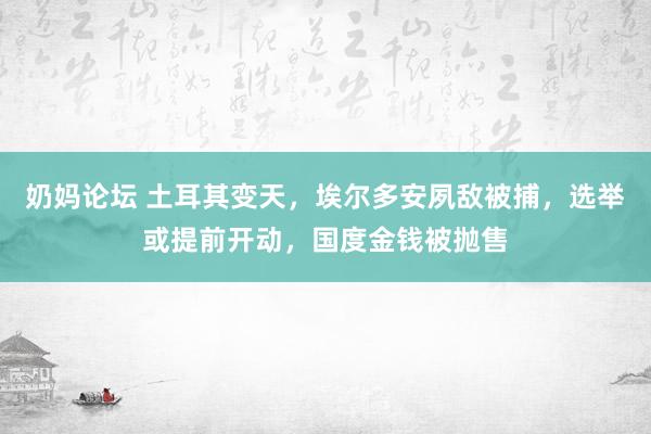 奶妈论坛 土耳其变天，埃尔多安夙敌被捕，选举或提前开动，国度金钱被抛售