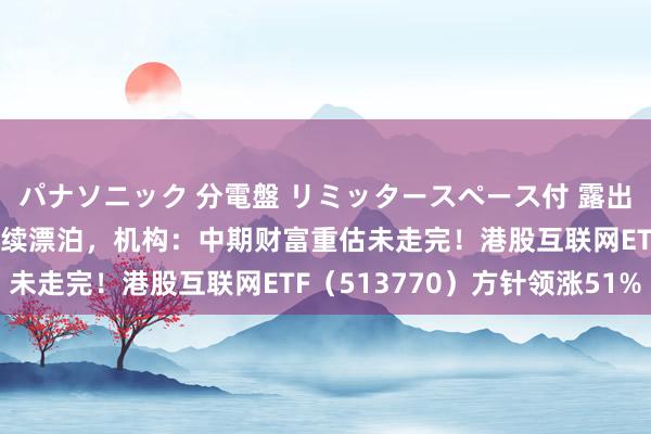 パナソニック 分電盤 リミッタースペース付 露出・半埋込両用形 港股接续漂泊，机构：中期财富重估未走完！港股互联网ETF（513770）方针领涨51%