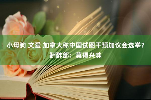 小母狗 文爱 加拿大称中国试图干预加议会选举？酬酢部：莫得兴味