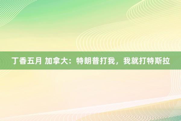 丁香五月 加拿大：特朗普打我，我就打特斯拉