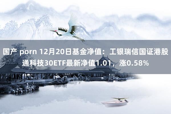 国产 porn 12月20日基金净值：工银瑞信国证港股通科技30ETF最新净值1.01，涨0.58%