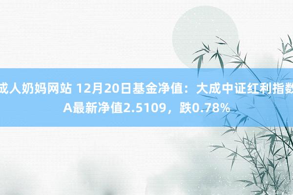成人奶妈网站 12月20日基金净值：大成中证红利指数A最新净值2.5109，跌0.78%