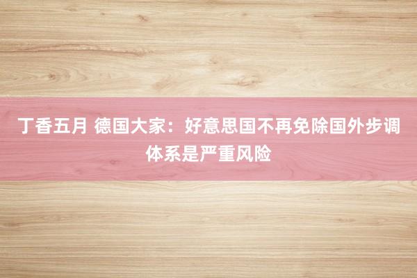 丁香五月 德国大家：好意思国不再免除国外步调体系是严重风险