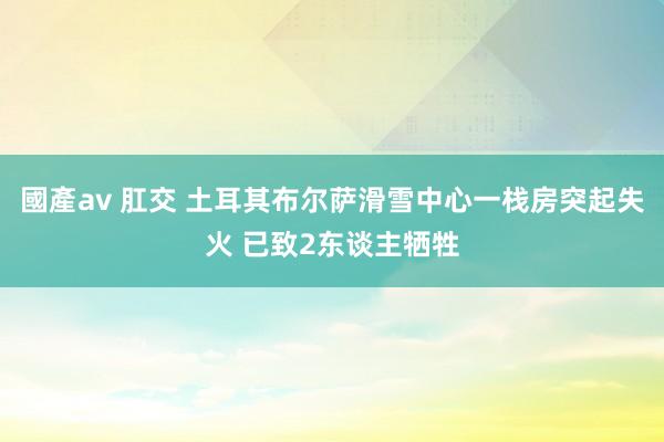 國產av 肛交 土耳其布尔萨滑雪中心一栈房突起失火 已致2东谈主牺牲