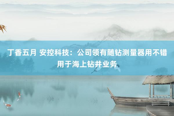 丁香五月 安控科技：公司领有随钻测量器用不错用于海上钻井业务