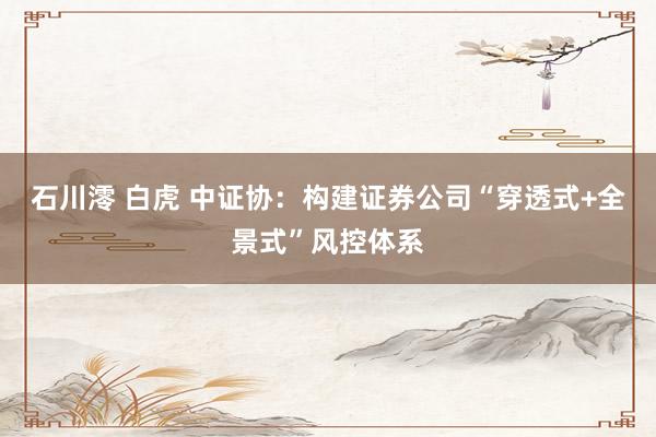 石川澪 白虎 中证协：构建证券公司“穿透式+全景式”风控体系