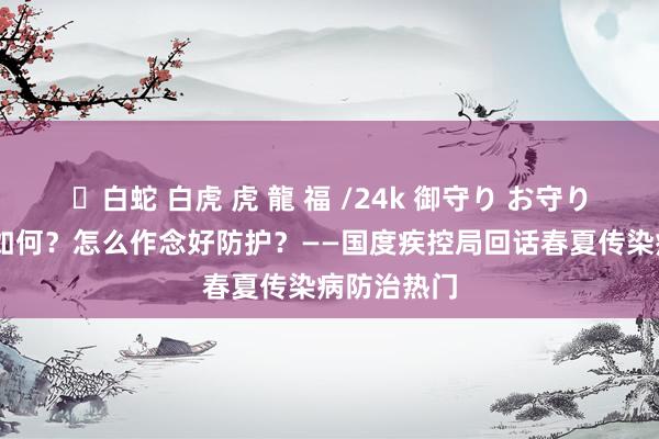 ✨白蛇 白虎 虎 龍 福 /24k 御守り お守り 流行态势如何？怎么作念好防护？——国度疾控局回话春夏传染病防治热门