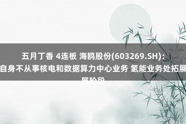 五月丁香 4连板 海鸥股份(603269.SH)：公司自身不从事核电和数据算力中心业务 氢能业务处拓展阶段