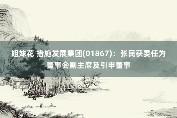 姐妹花 措施发展集团(01867)：张民获委任为董事会副主席及引申董事