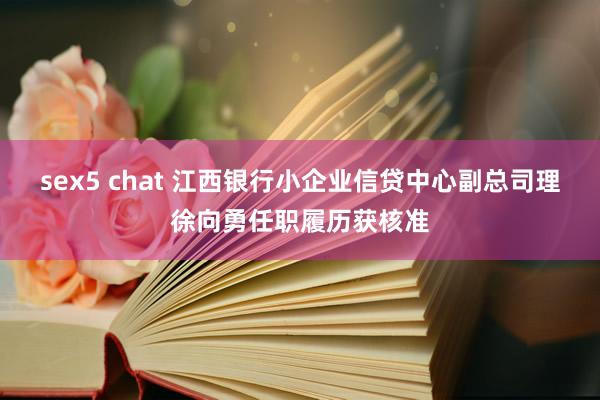 sex5 chat 江西银行小企业信贷中心副总司理徐向勇任职履历获核准
