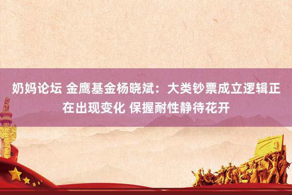 奶妈论坛 金鹰基金杨晓斌：大类钞票成立逻辑正在出现变化 保握耐性静待花开