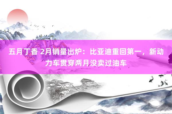 五月丁香 2月销量出炉：比亚迪重回第一，新动力车贯穿两月没卖过油车