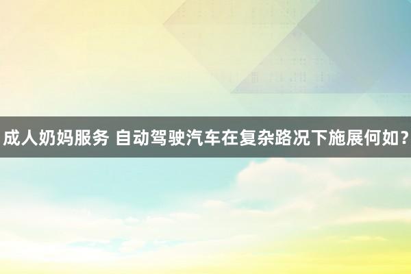成人奶妈服务 自动驾驶汽车在复杂路况下施展何如？
