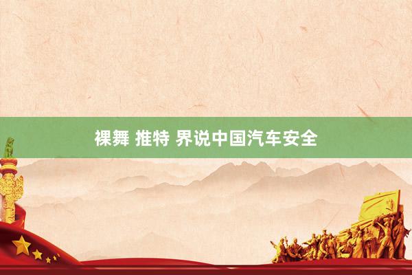 裸舞 推特 界说中国汽车安全
