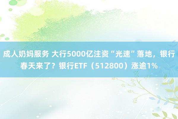 成人奶妈服务 大行5000亿注资“光速”落地，银行春天来了？银行ETF（512800）涨逾1%