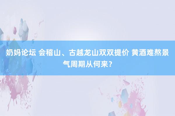 奶妈论坛 会稽山、古越龙山双双提价 黄酒难熬景气周期从何来？