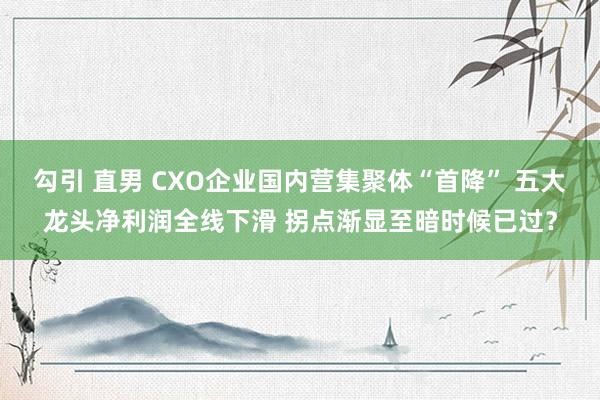 勾引 直男 CXO企业国内营集聚体“首降” 五大龙头净利润全线下滑 拐点渐显至暗时候已过？