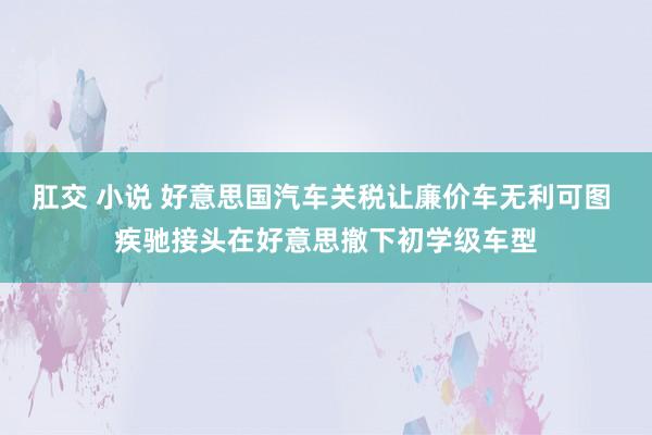 肛交 小说 好意思国汽车关税让廉价车无利可图 疾驰接头在好意思撤下初学级车型